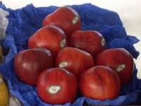 MAÇA ARGENTINA UNIDADE